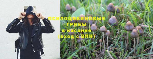 скорость Абаза