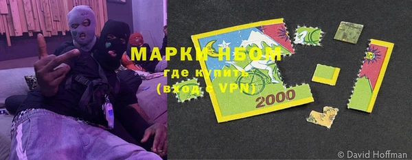 прущие грибы Алексин