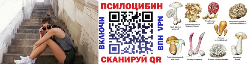 Галлюциногенные грибы ЛСД даркнет сайт маркетплейс Telegram Кострома