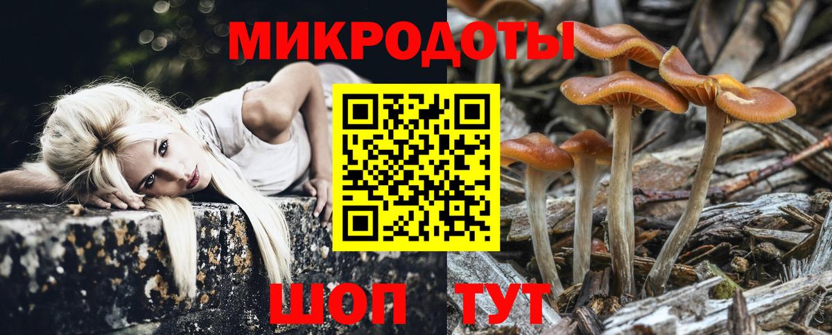 Псилоцибиновые грибы Psilocybine cubensis  Вход с VPN  Кострома 